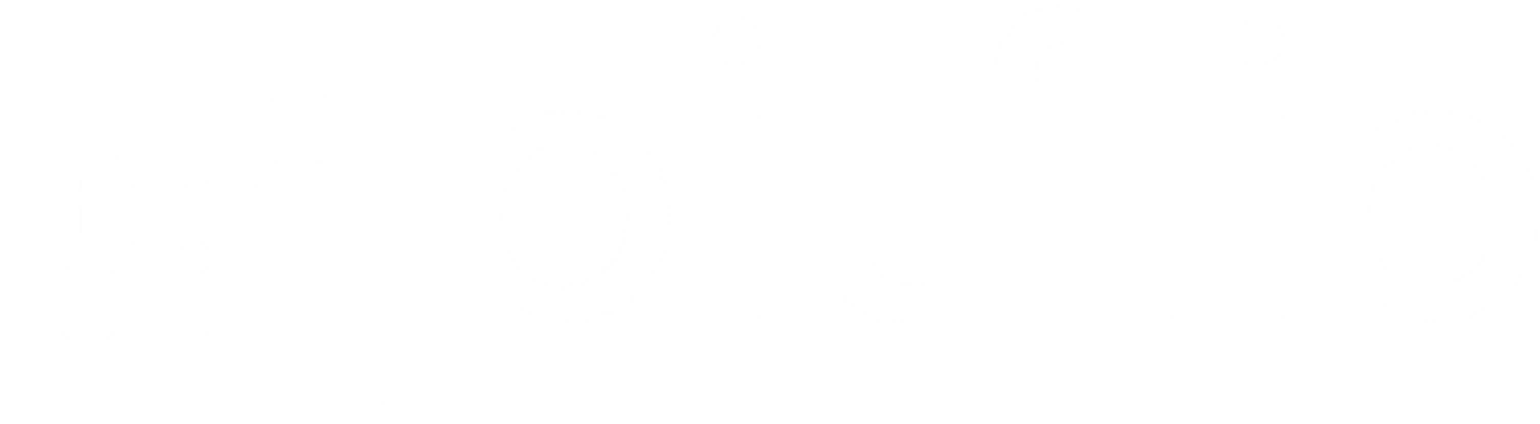 bitflip